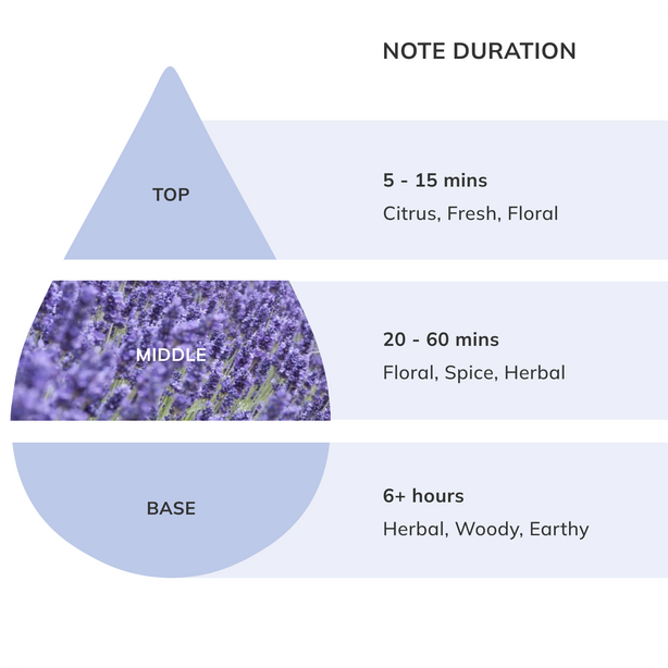 Lavender Oil | French | Nikura
