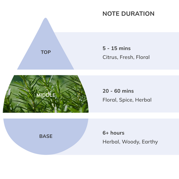 Rosemary Essential Oil | Nikura