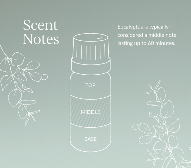 Eucalyptus (Chinese) Essential Oil | Nikura