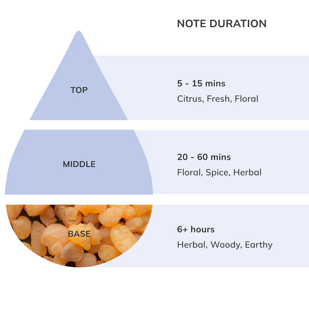 Frankincense Serrata (Indian) Essential Oil | Nikura
