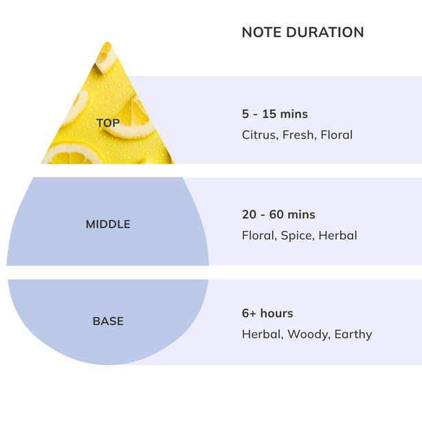 Lemon Essential Oil | Nikura