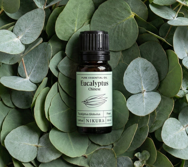 Eucalyptus (Chinese) Essential Oil | Nikura